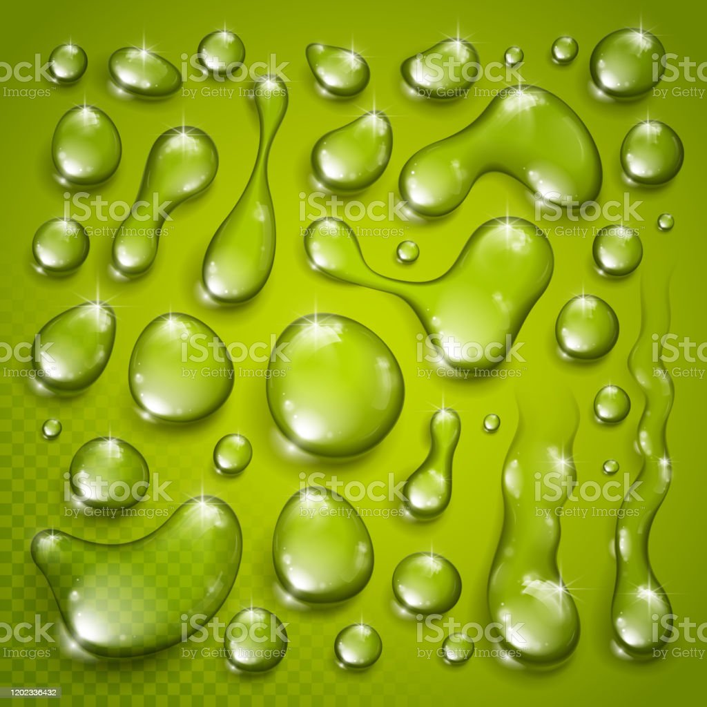 Detail Embun Vector Nomer 20