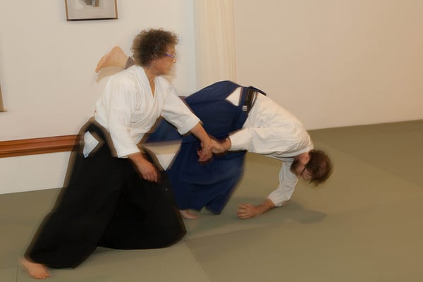 Detail Emerald City Aikido Nomer 27