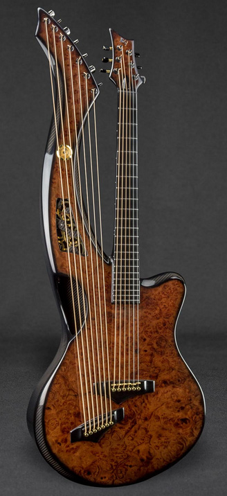 Detail Emerald Harp Guitar Nomer 42