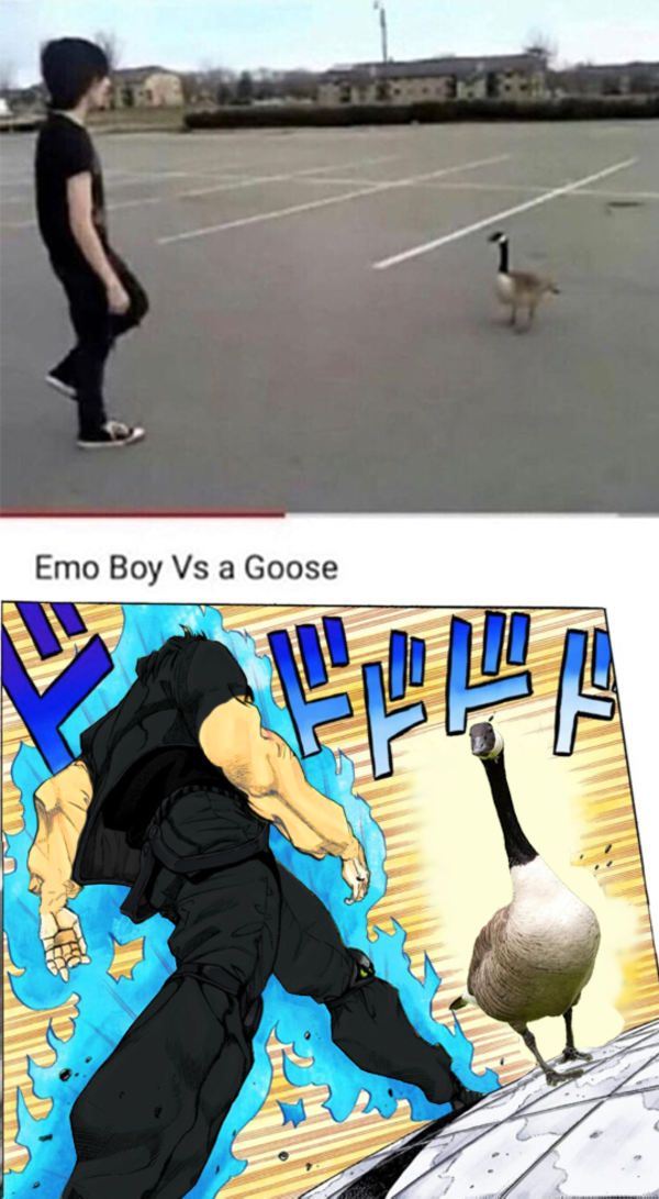 Detail Emo Boy Vs Goose Nomer 3