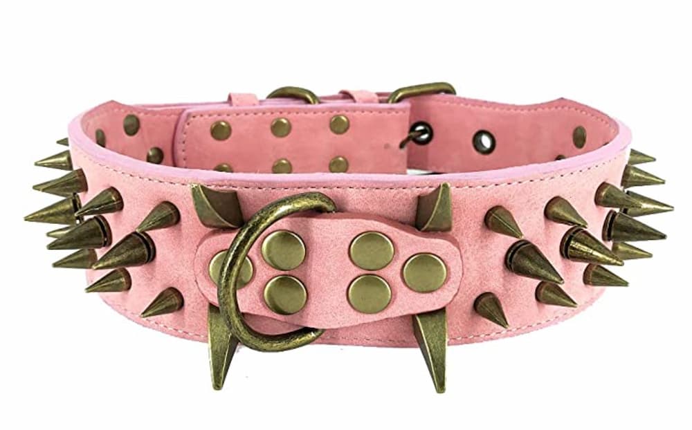 Detail Emo Dog Collar Nomer 55