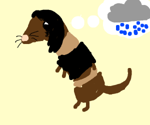 Detail Emo Ferret Nomer 21