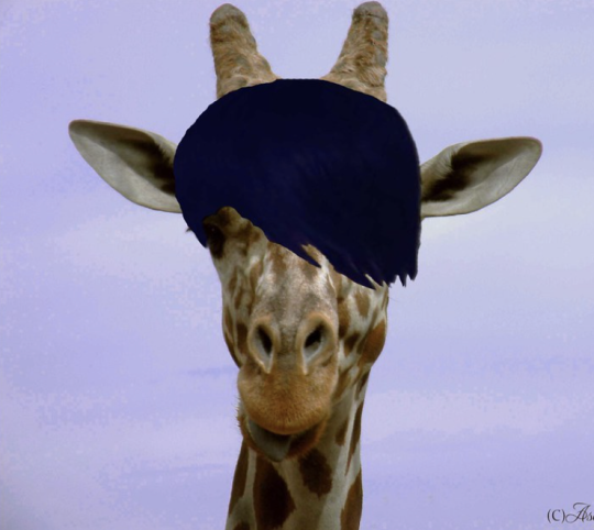 Detail Emo Giraffe Nomer 20