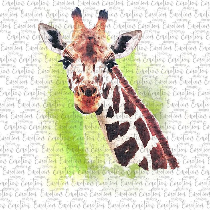 Detail Emo Giraffe Nomer 22