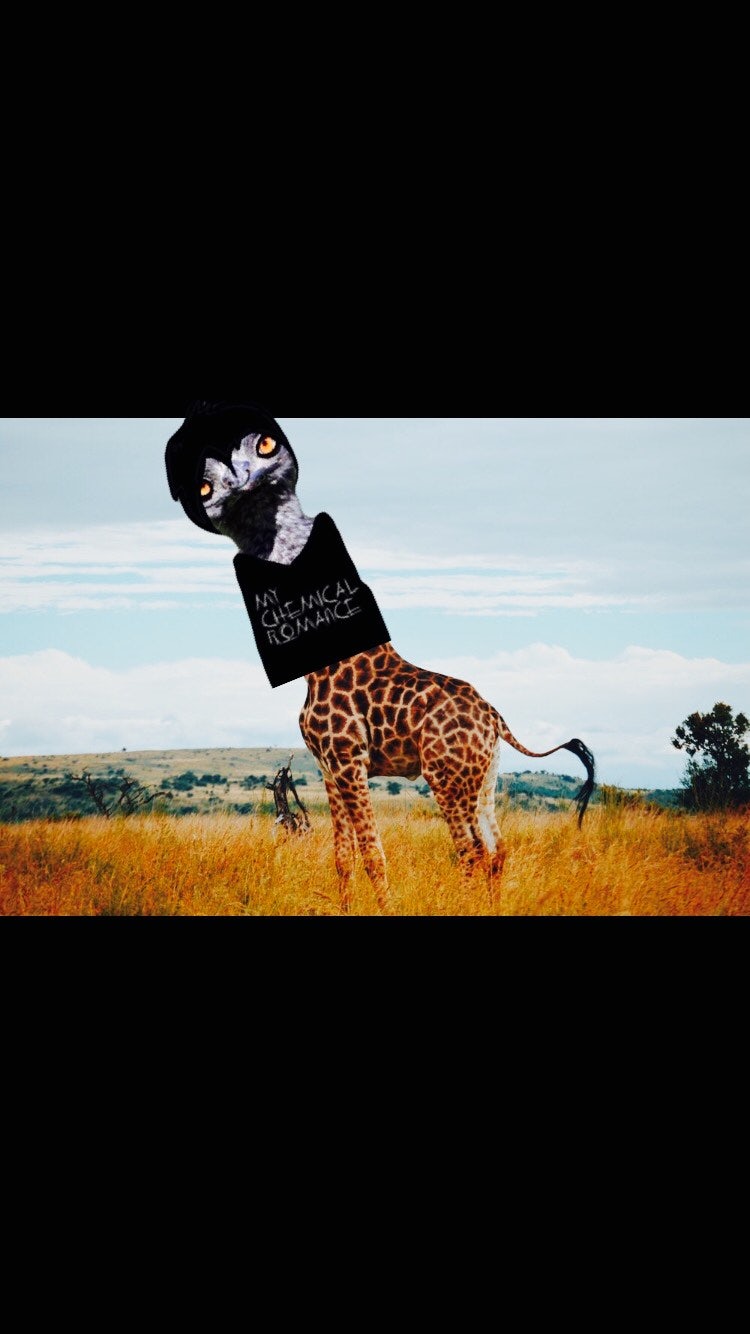Detail Emo Giraffe Nomer 49