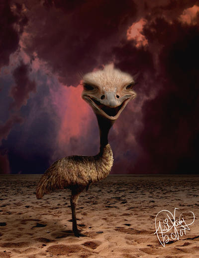 Detail Emo Ostrich Nomer 55