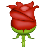 Detail Emoji Bunga Iphone Nomer 14