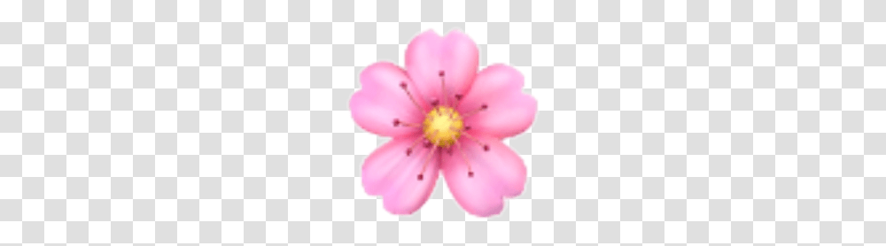 Detail Emoji Bunga Sakura Nomer 20