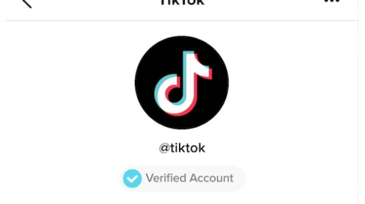 Detail Emoji Centang Biru Tiktok Nomer 10