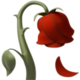 Emoji Iphone Bunga - KibrisPDR