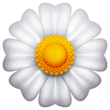 Detail Emoji Iphone Bunga Nomer 49