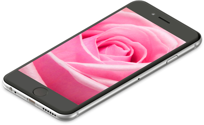 Detail Hintergrund Handy Rosen Nomer 13