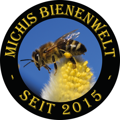 Detail Muscari Bienen Nomer 15