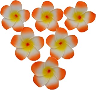Detail Blumen Donners Nomer 24