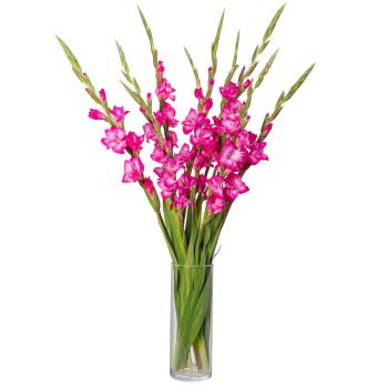 Detail Blumen Donners Nomer 4