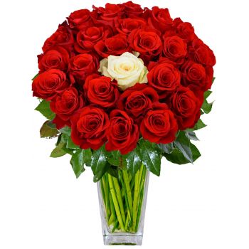 Detail Blumen Donners Nomer 5