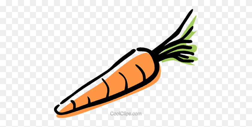 Detail Carrot Drawing Png Nomer 12