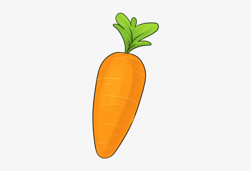 Detail Carrot Drawing Png Nomer 13