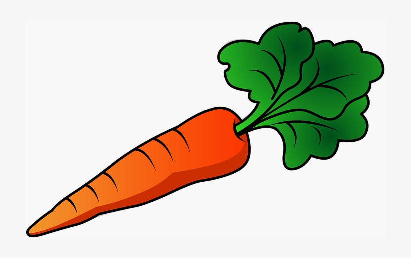 Detail Carrot Drawing Png Nomer 2