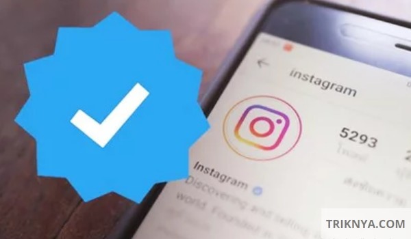 Detail Emot Centang Biru Instagram Nomer 31