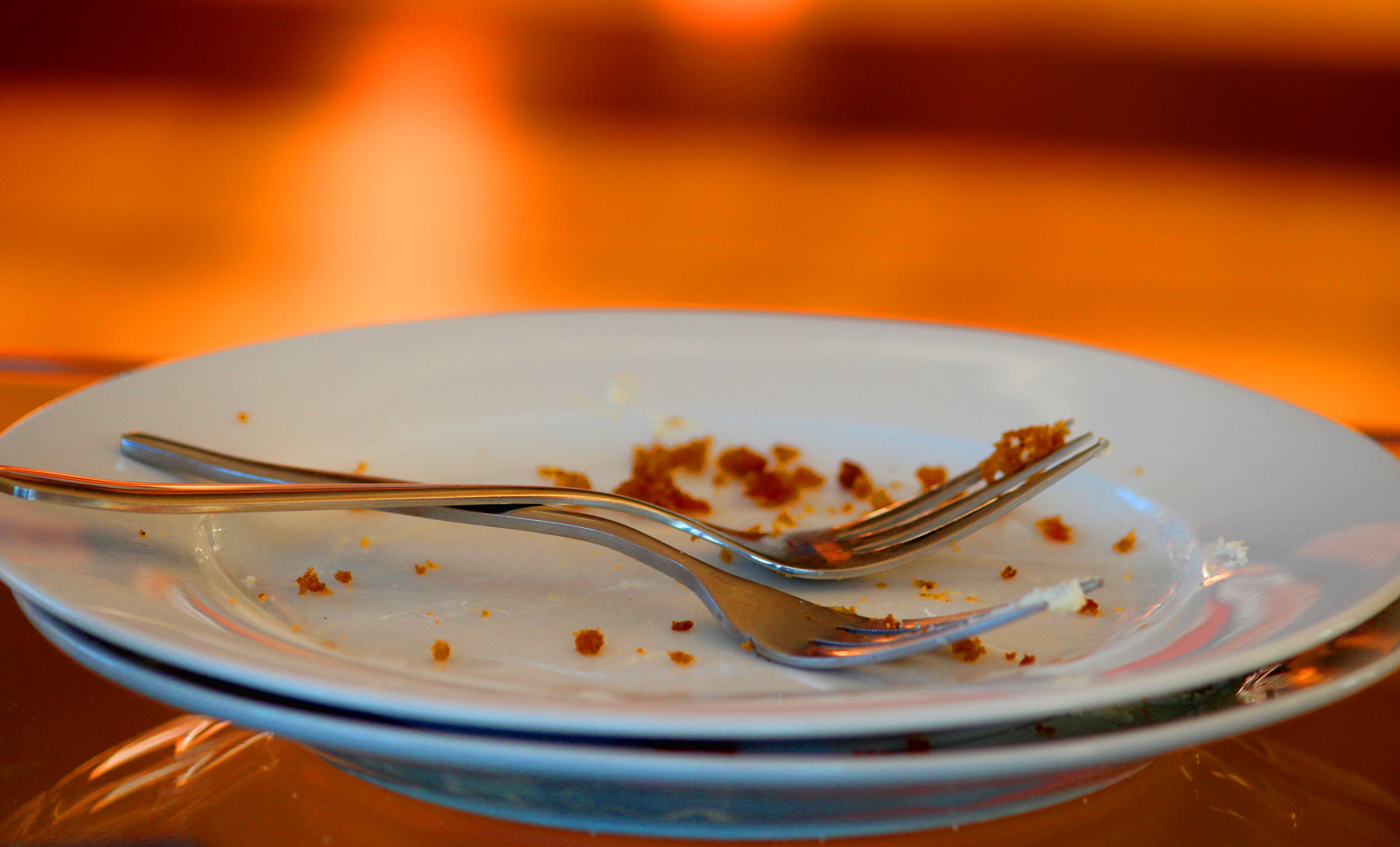 Detail Empty Plate Nomer 53