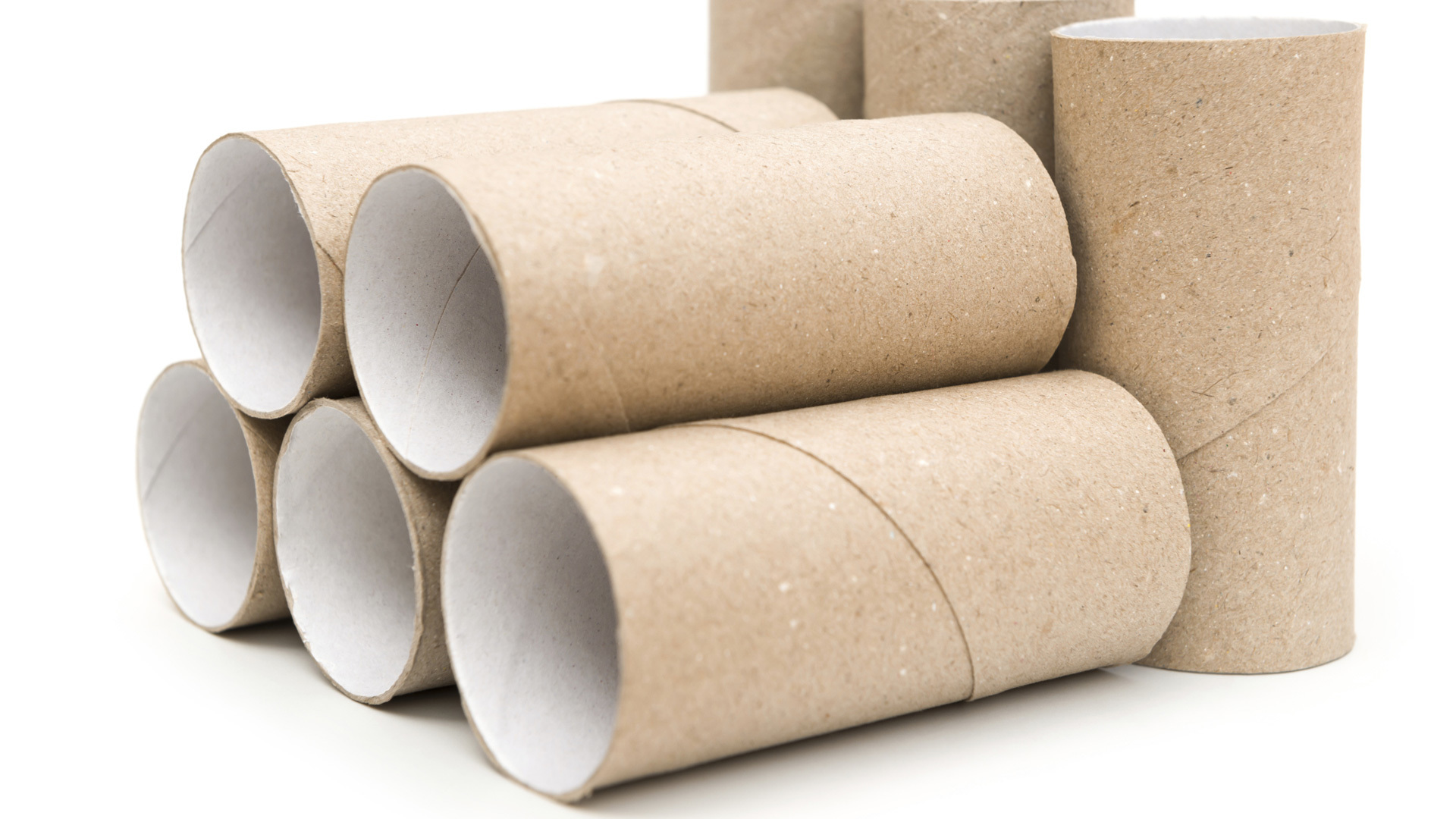 Detail Empty Toilet Paper Roll Png Nomer 10