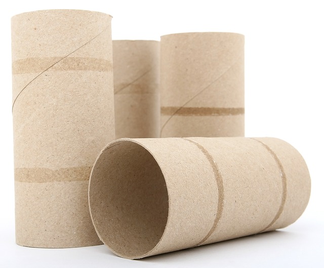 Detail Empty Toilet Paper Roll Png Nomer 20