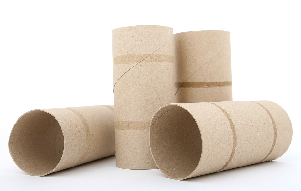 Detail Empty Toilet Paper Roll Png Nomer 3