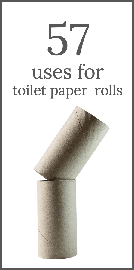 Detail Empty Toilet Paper Roll Png Nomer 48