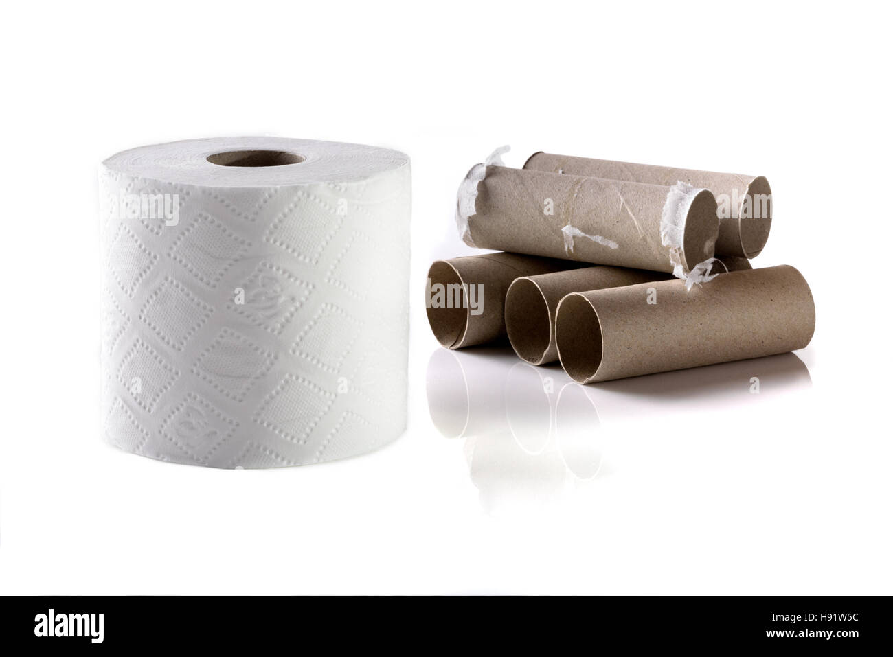 Detail Empty Toilet Paper Roll Png Nomer 50