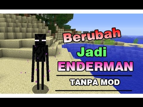 Detail Enderman Asli Nomer 13