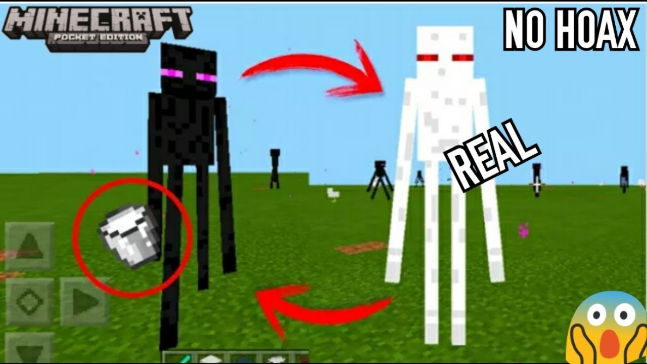 Detail Enderman Asli Nomer 21