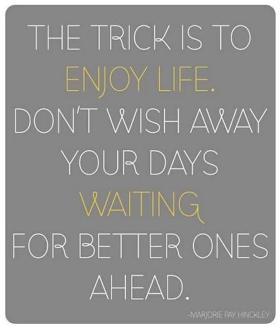 Enjoy While You Can Quotes - KibrisPDR