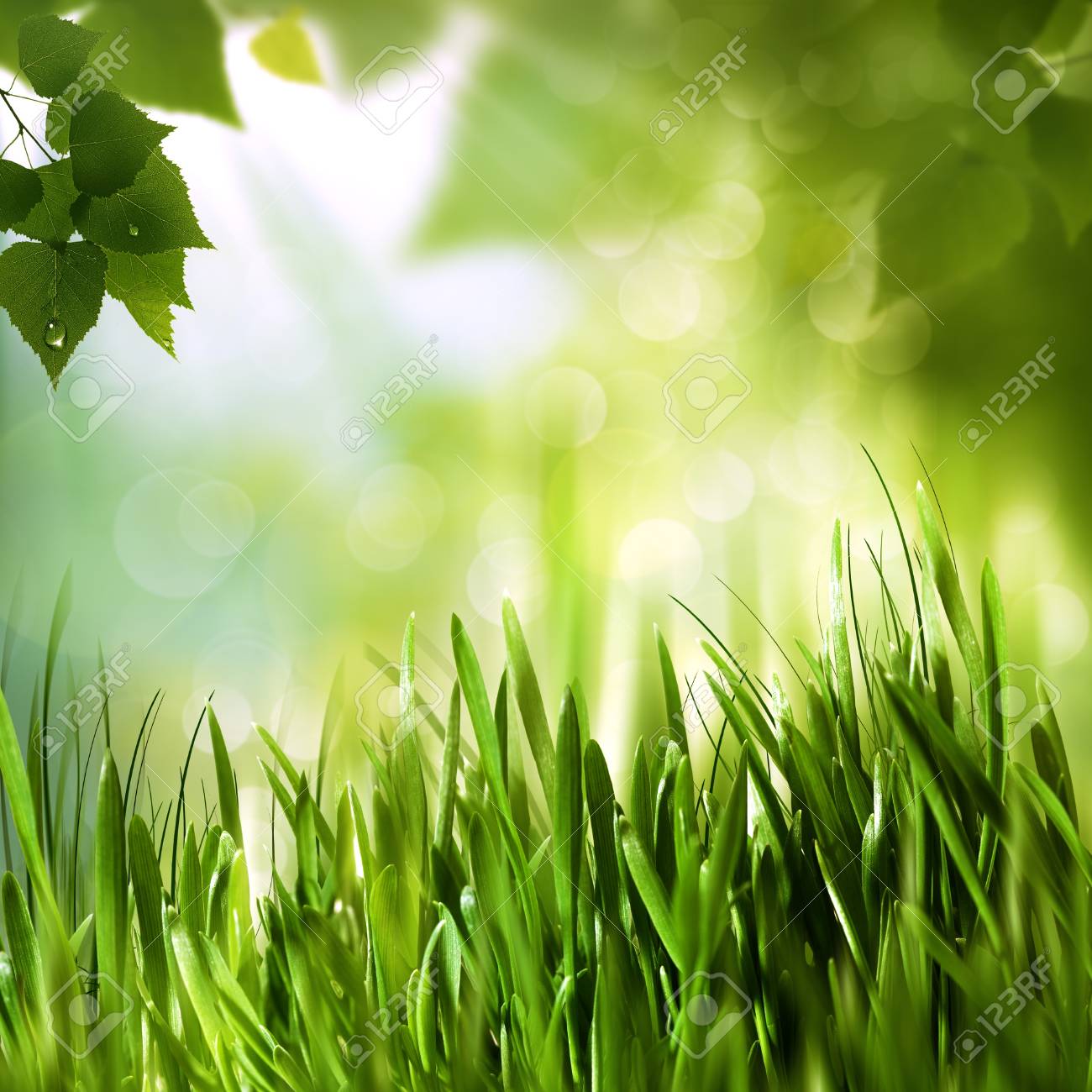 Detail Environment Background Nomer 27