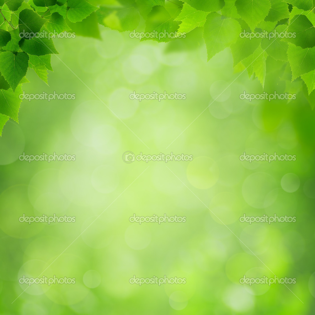 Detail Environment Background Nomer 31