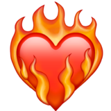 Detail Fire Emojipedia Nomer 4
