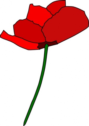 Detail Mohn Bilder Nomer 3