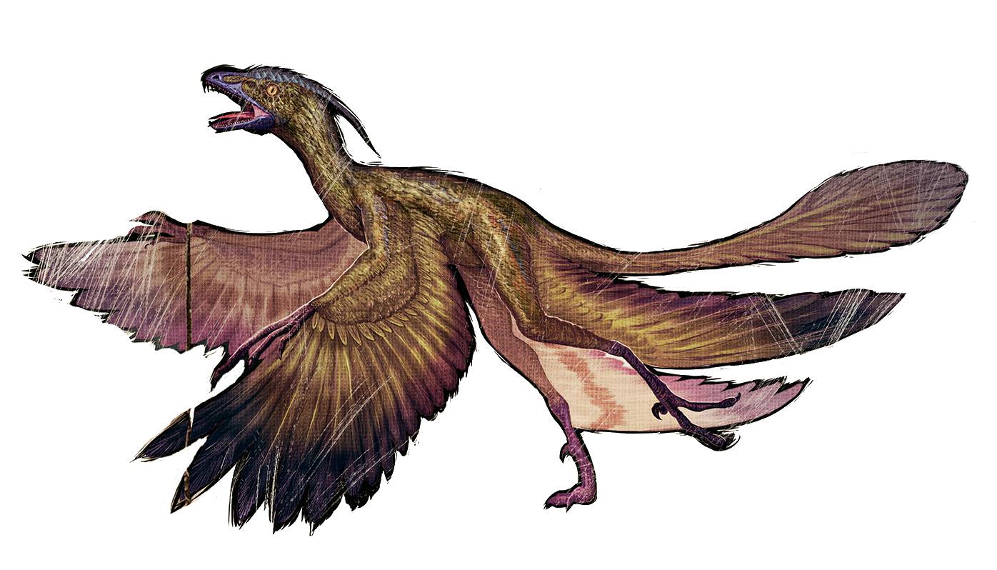 Detail Ark Micro Raptor Nomer 15