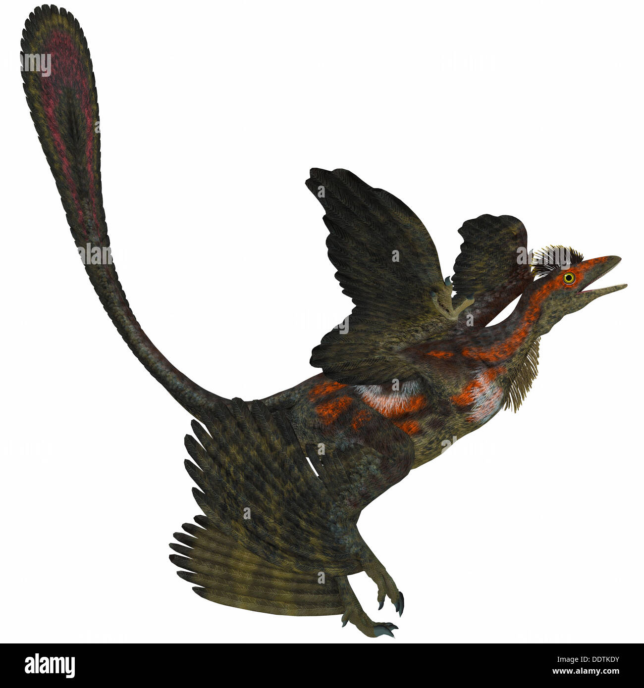Detail Ark Micro Raptor Nomer 18