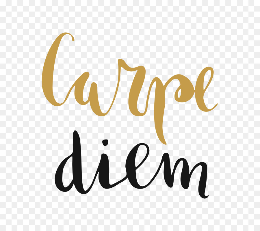 Detail Carpe Diem Schriftzug Nomer 13