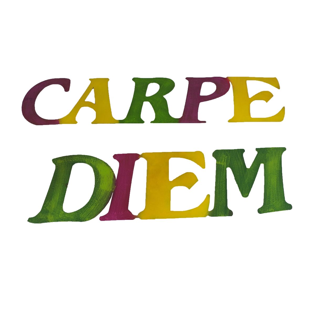 Detail Carpe Diem Schriftzug Nomer 6