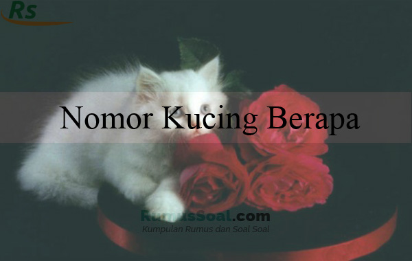 Detail Erek Erek Kucing Masuk Rumah Nomer 35