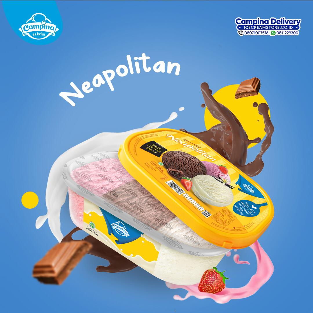 Detail Es Krim Campina Neapolitan Nomer 13