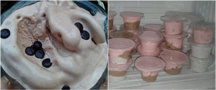 Detail Es Krim Homemade Untuk Jualan Nomer 33