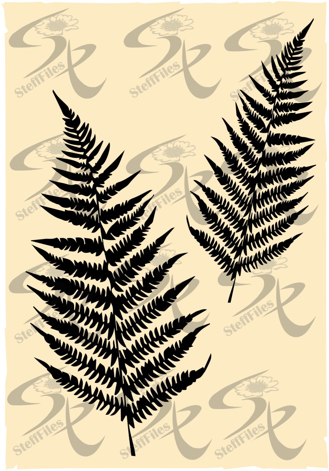 Detail Fern Silhouette Png Nomer 20