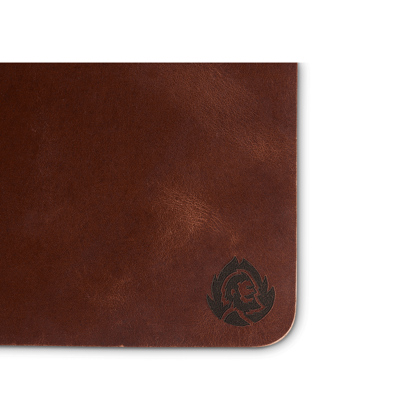 Detail Leder Hintergrund Nomer 8