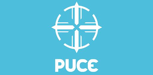 Puce Logo - KibrisPDR