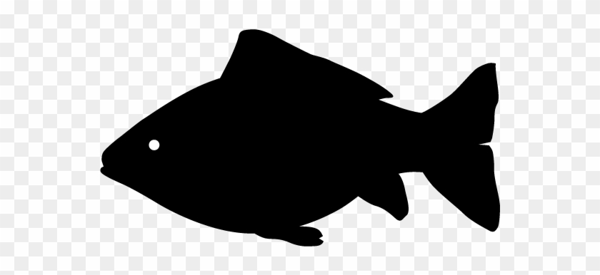 Detail Silhouette Fisch Nomer 12