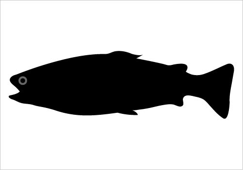 Detail Silhouette Fisch Nomer 19