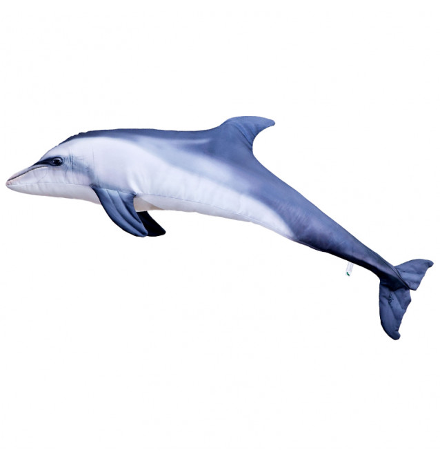 Detail Blauer Delphin Barsch Nomer 4
